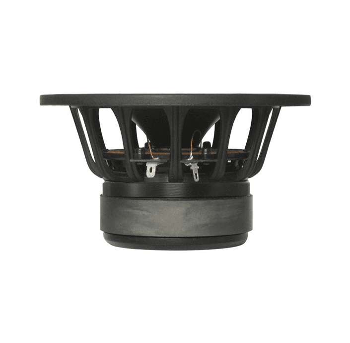 Tang Band W5-1611SDF 5 inch 4 ohm loudspeaker driver view 2
