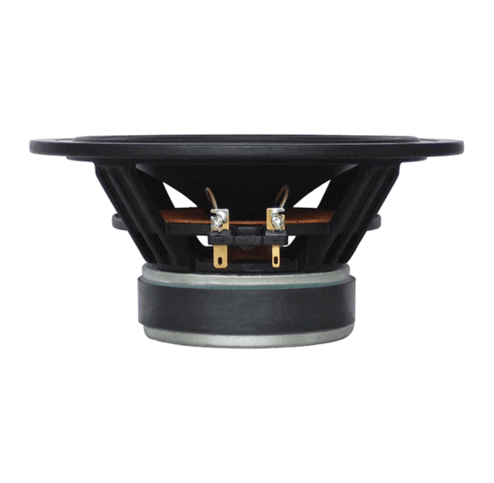 Tang Band W6-658I 6 inch 8 ohm loudspeaker driver view 2