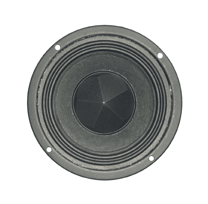Tang Band W4-992SD 4 inch 8 ohm loudspeaker driver similar driver