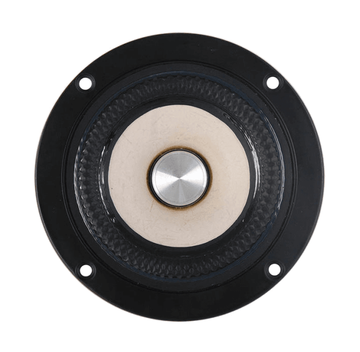 Tang Band W4-2142 4 inch 8 ohm loudspeaker driver similar driver
