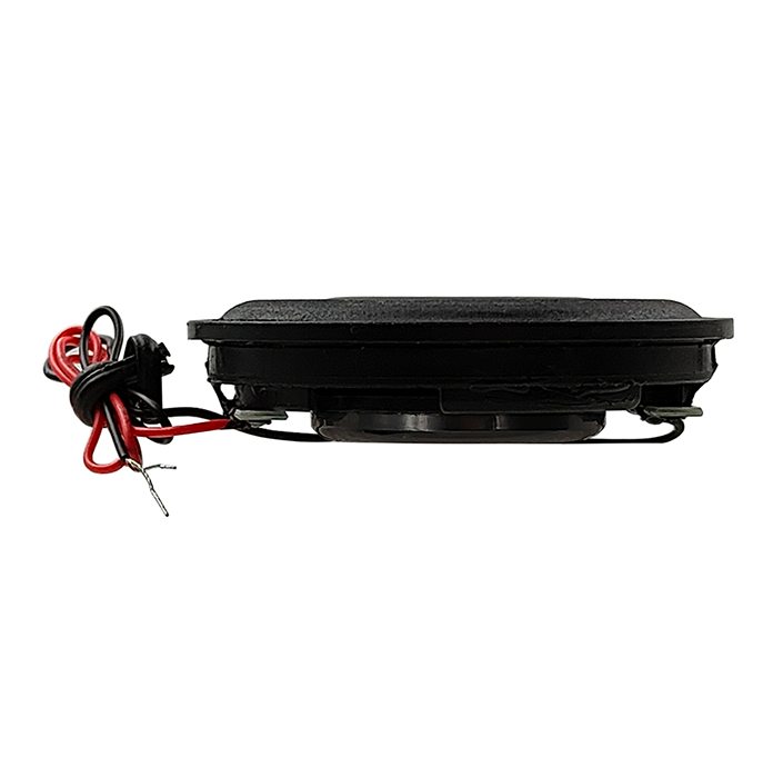 Tang Band W1-2396S 1 inch 4 ohm loudspeaker driver thumbnail view 3