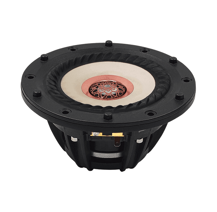 Tang Band W4-2315 4 inch 4 ohm loudspeaker driver similar driver