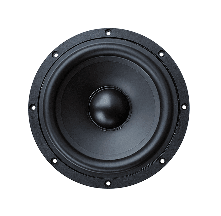 Tang Band W8-1722B 8 inch 4 ohm loudspeaker driver similar driver