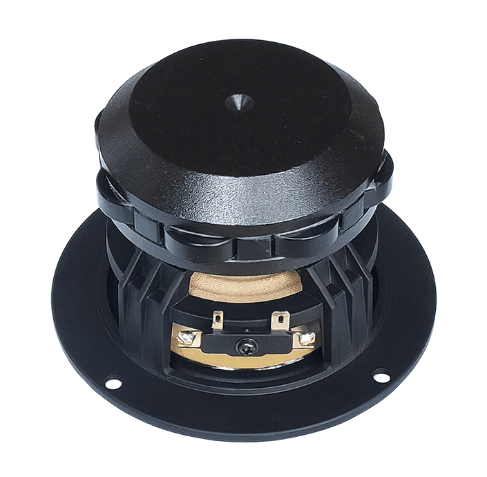 Tang Band W4-1879 4 inch 8 ohm loudspeaker driver view 2