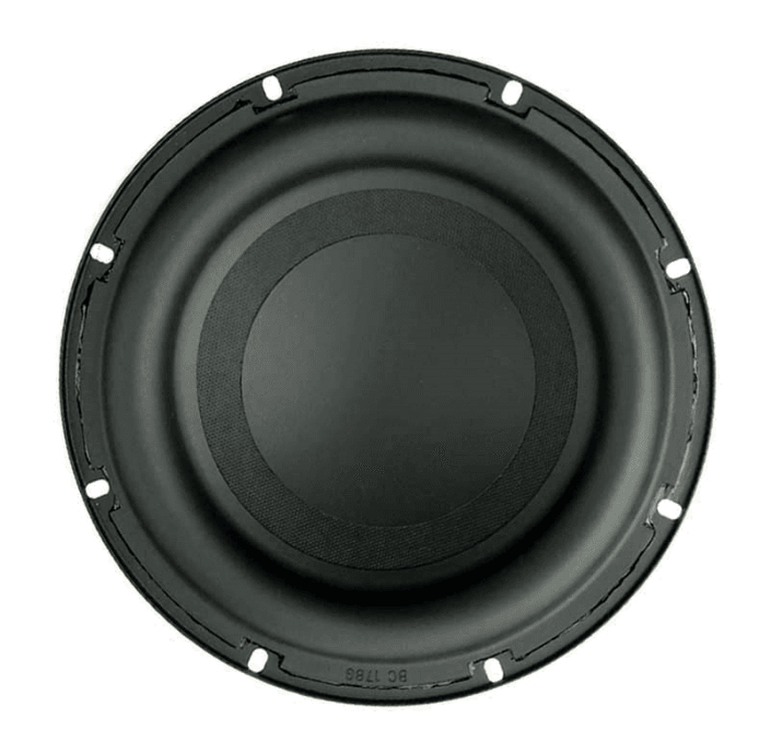 Tang Band W8-670T 8 inch 4 ohm loudspeaker driver view 2