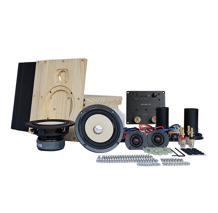 Tang Band W8-1363SB 8 inch 3.2 ohm loudspeaker driver view 4