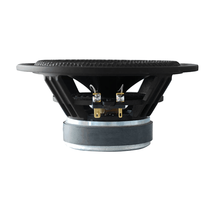 Tang Band W6-789E 6 inch 8 ohm loudspeaker driver view 2