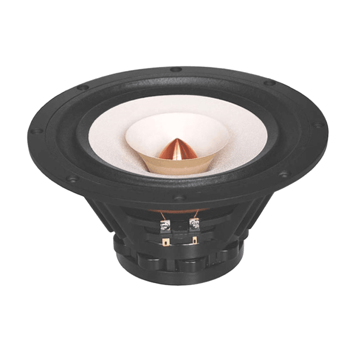 Tang Band W2-802SE 2 inch 6 ohm loudspeaker driver view 5