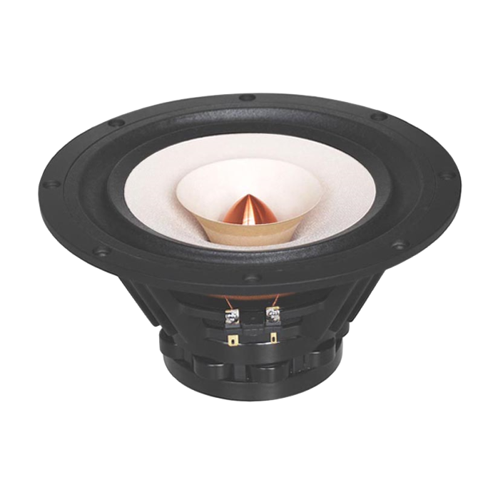 Tang Band W2-802SE 2 inch 6 ohm loudspeaker driver thumbnail view 5