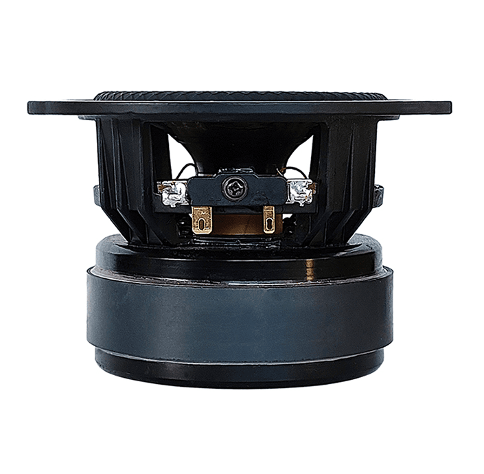 Tang Band W4-2417 4 inch 8 ohm loudspeaker driver view 2