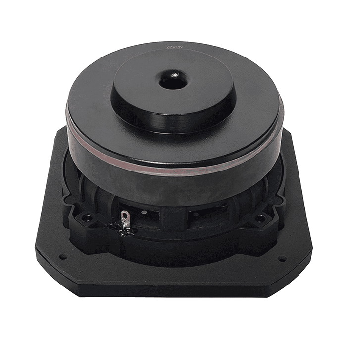 Tang Band W5-2053 5 inch 4 ohm loudspeaker driver view 2