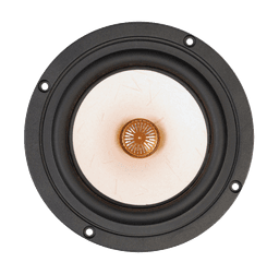 Tang Band W5-1880 8 Ohm loudspeaker driver