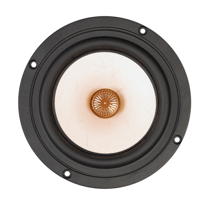 Tang Band W5-1880 5 inch 8 ohm loudspeaker driver similar driver