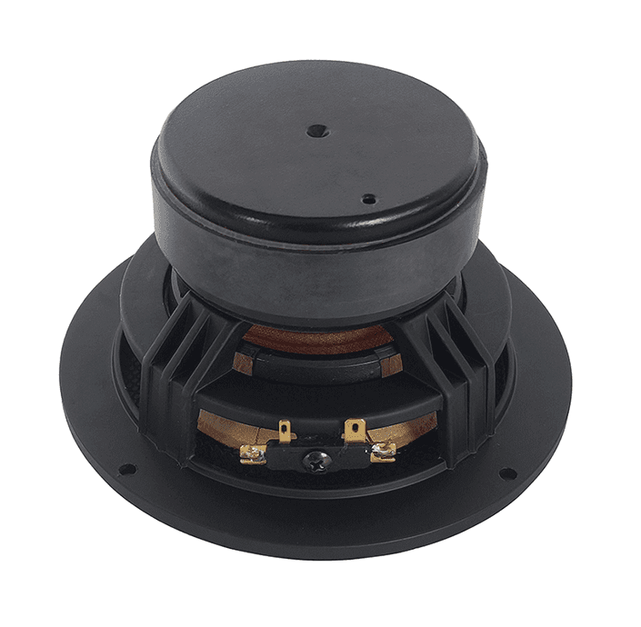 Tang Band W5-2143 5 inch 8 ohm loudspeaker driver view 2