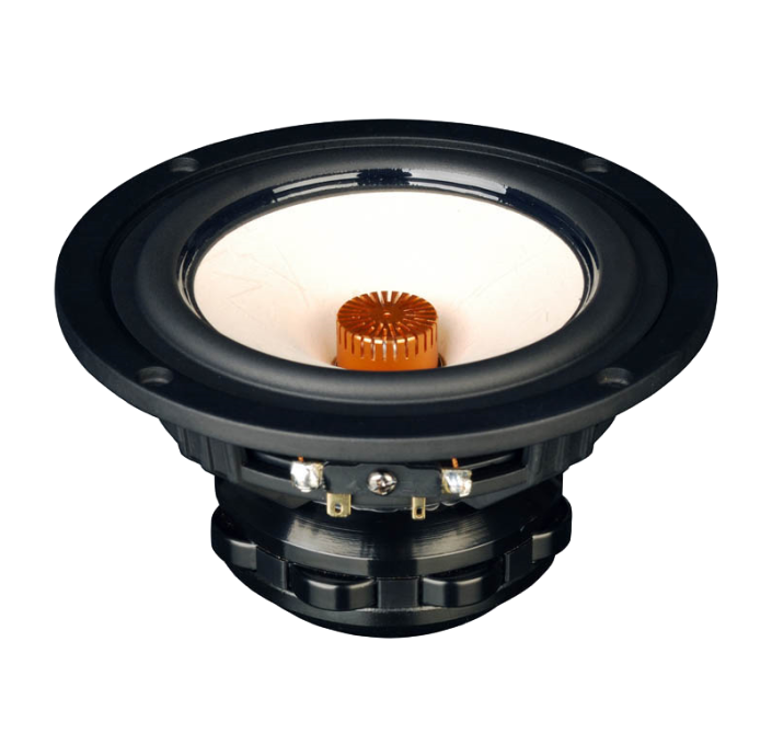 Tang Band W5-1880 6.3 Ohm loudspeaker driver