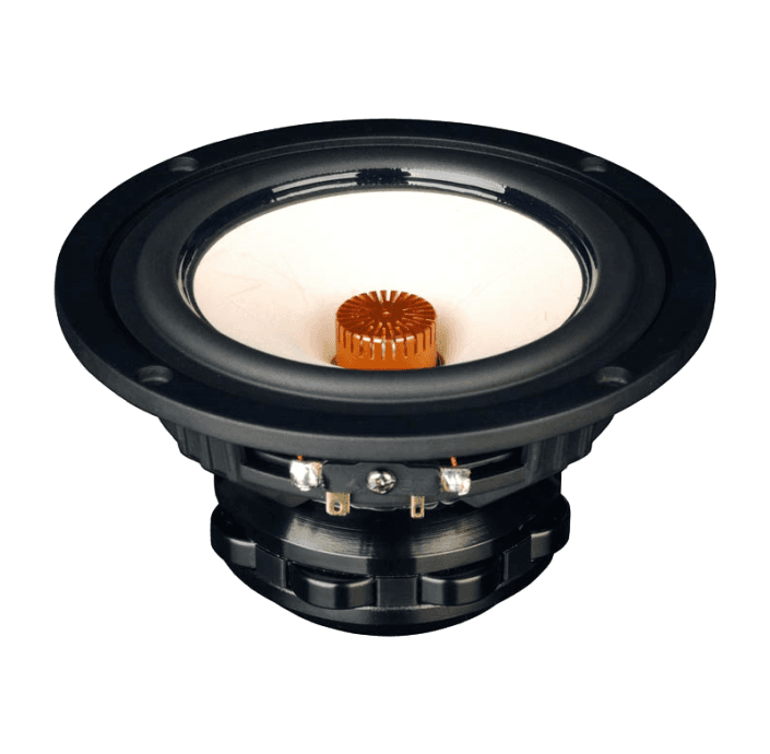 Tang Band W5-1880 5 inch 6.3 ohm loudspeaker driver similar driver