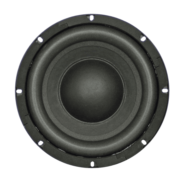 Tang Band W8-740P 8 inch 4 ohm loudspeaker driver similar driver