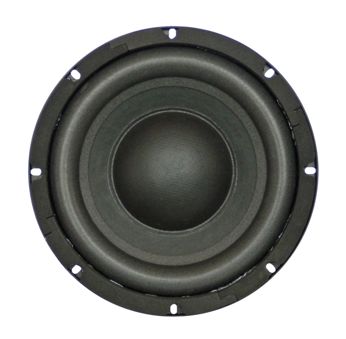 Tang Band W8-740P 8 inch 4 ohm loudspeaker driver thumbnail view 1