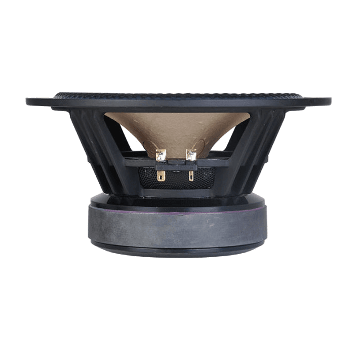 Tang Band W8-2145 8 inch 8 ohm loudspeaker driver view 3