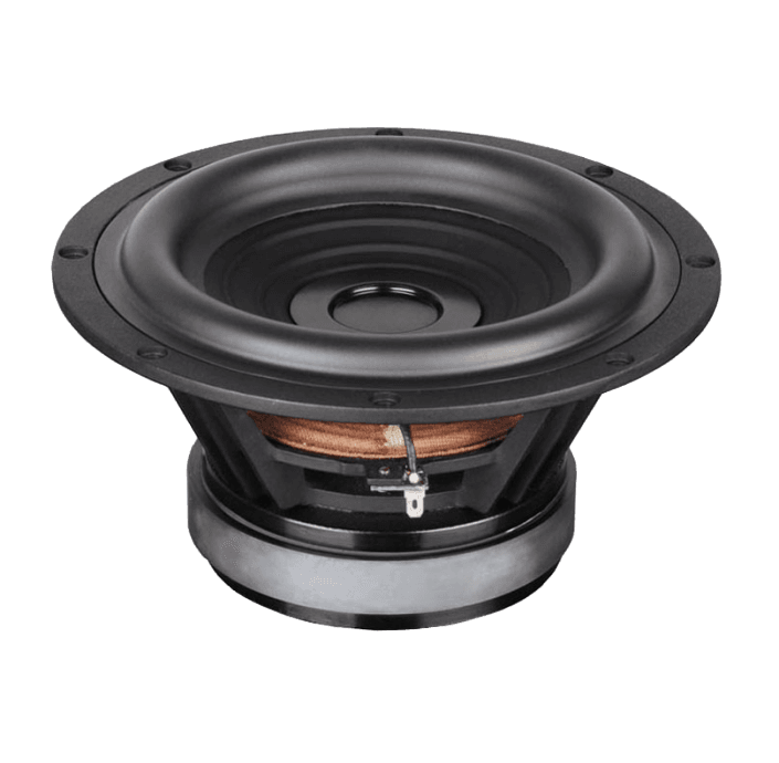 Tang Band W8-1363SBF 8 inch 3.2 ohm loudspeaker driver view 6