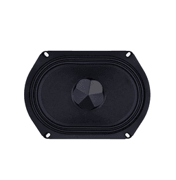Tang Band W69-1042J 8 Ohm loudspeaker driver