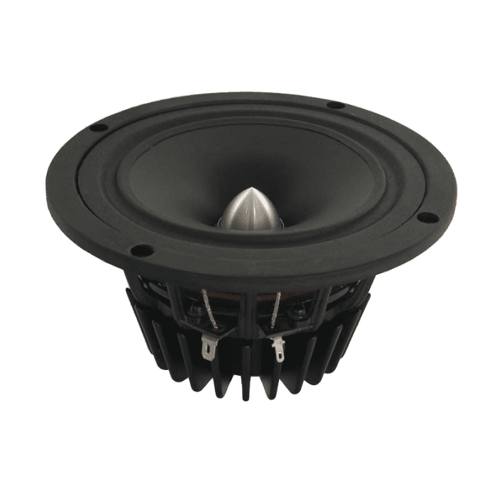 Tang Band W5-1880 5 inch 6.3 ohm loudspeaker driver view 7