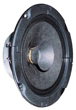 Visaton BG 13 P - 8 Ohm 8 Ohm loudspeaker driver