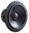 Visaton TIW 300 - 8 OHM 12 inch 8 ohm loudspeaker driver thumbnail view 1