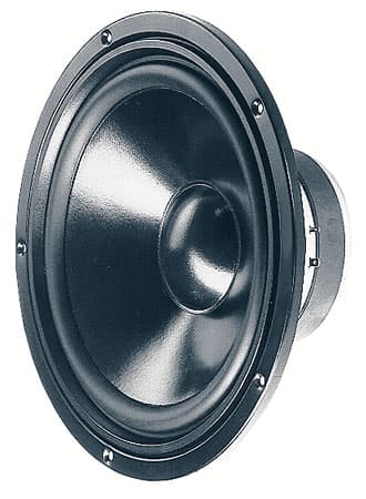 Visaton W 250 S - 8 OHM 10 inch 8 ohm loudspeaker driver similar driver