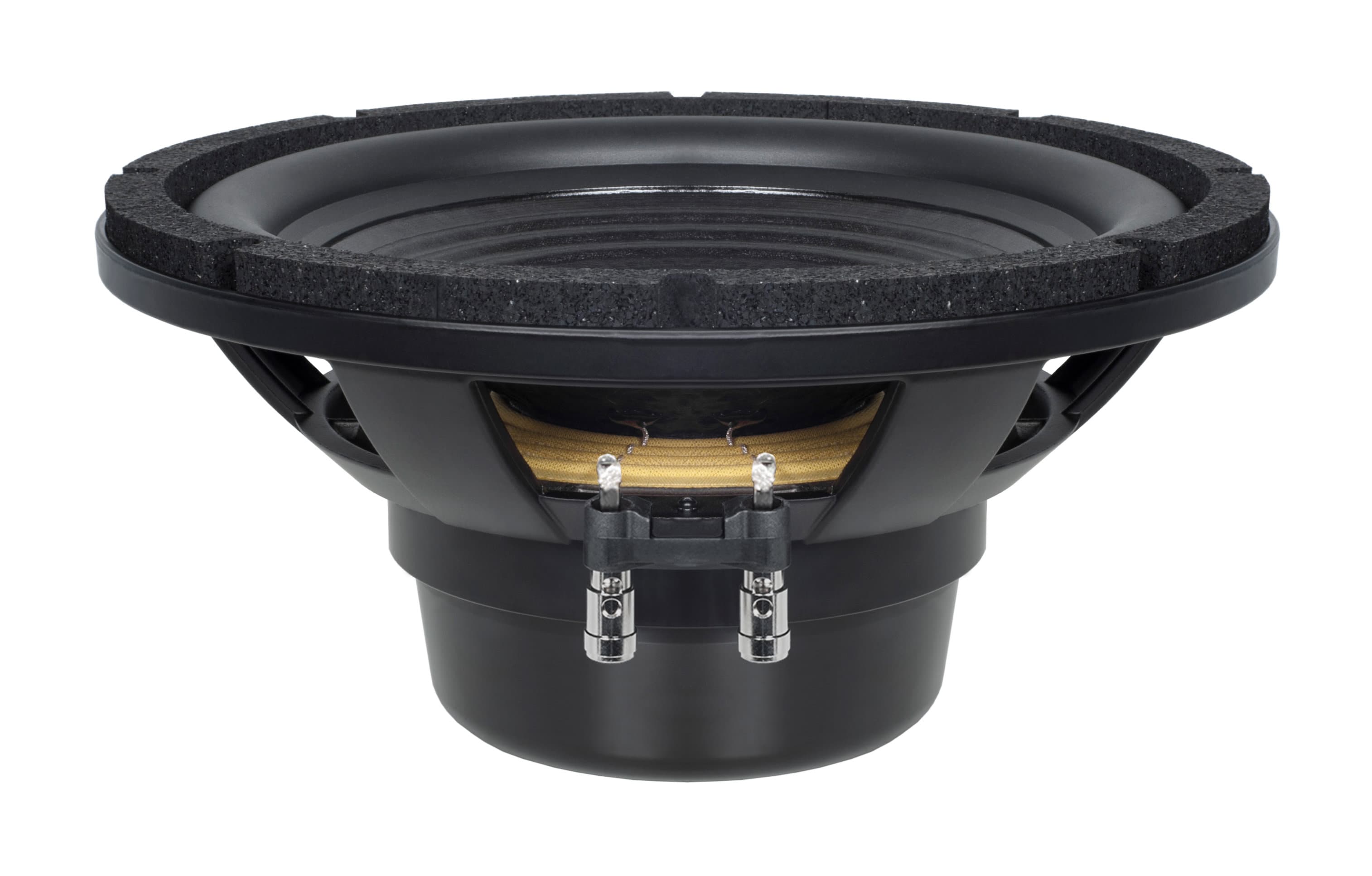B&C 12BG100 12 inch 8 ohm loudspeaker driver view 3