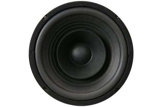 GRS 8FR-8 8 inch 8 ohm loudspeaker driver view 4