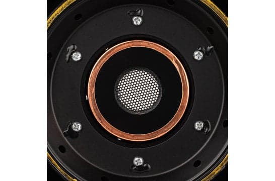 GRS 12PT-8 12 inch 8 ohm loudspeaker driver view 6