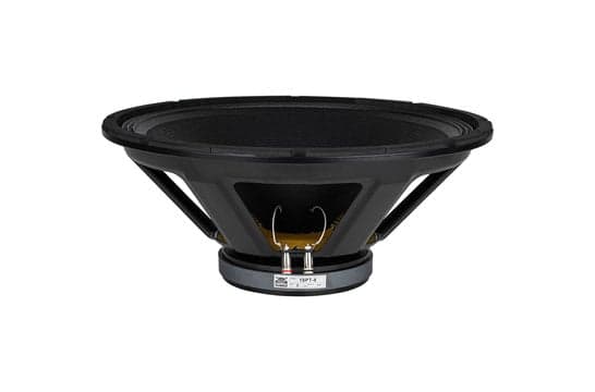 GRS 18PT-8 18 inch 8 ohm loudspeaker driver view 3