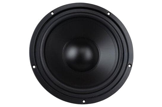 GRS 10SMP-8 10 inch 8 ohm loudspeaker driver view 4