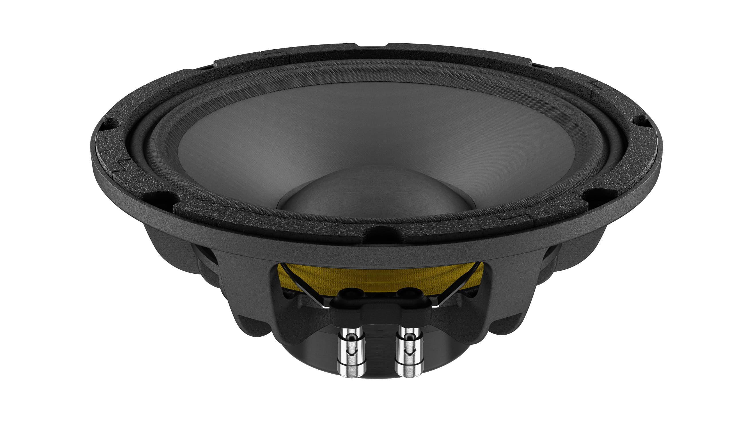 Lavoce WAN102.50 10 inch 8 ohm loudspeaker driver similar driver