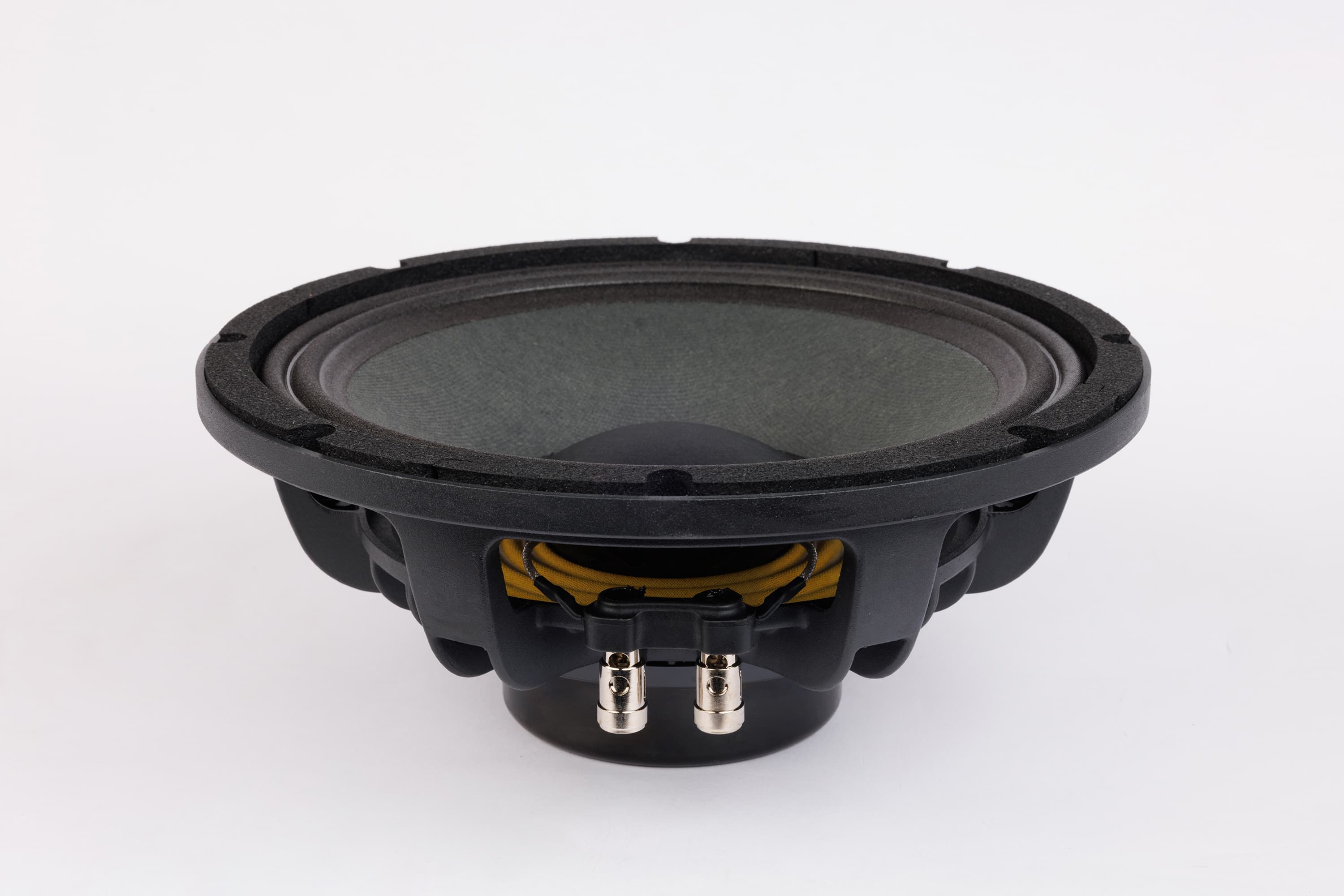 Lavoce WAN102.50LD 10 inch 8 ohm loudspeaker driver view 2
