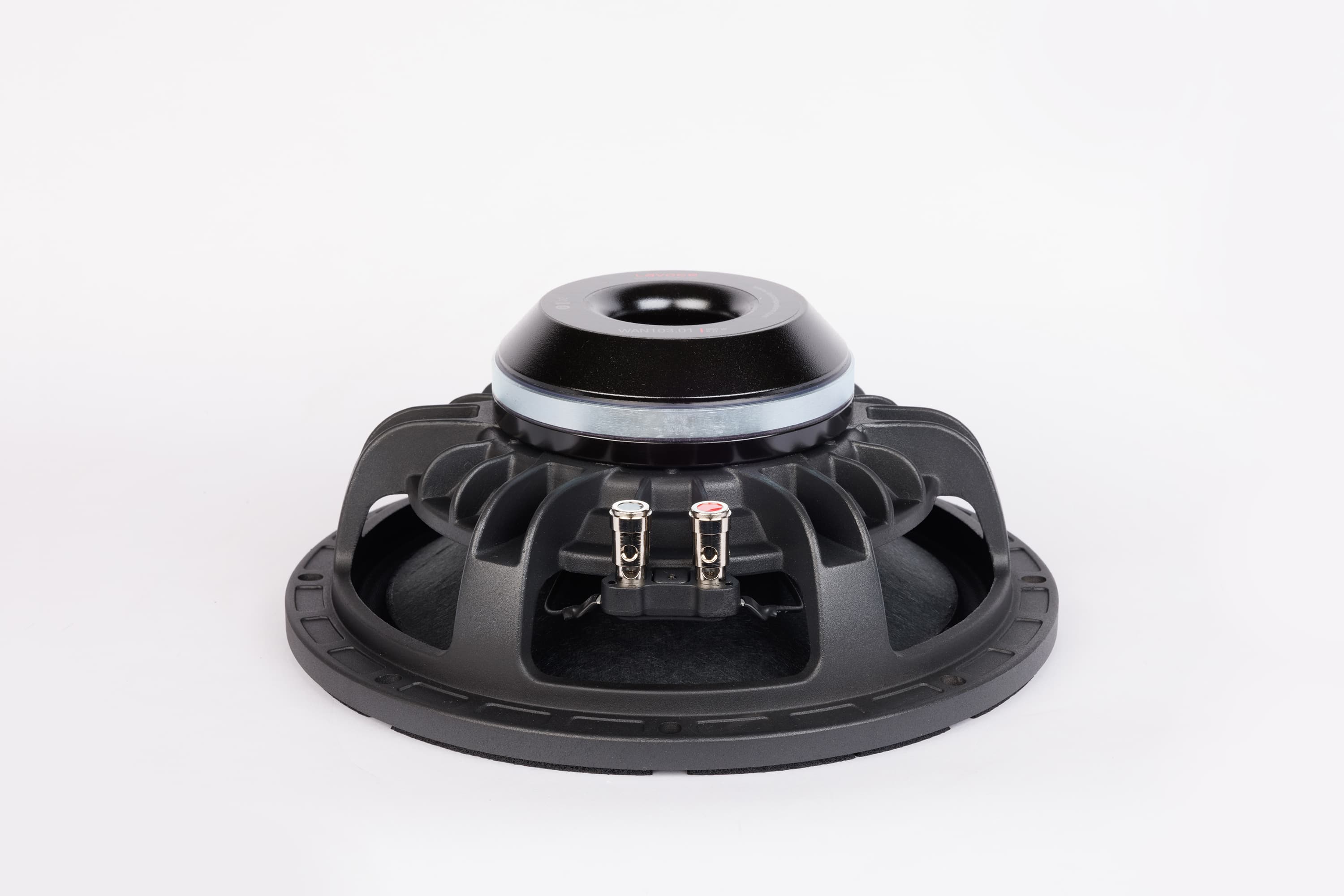 Lavoce WAN103.01 10 inch 8 ohm loudspeaker driver view 4