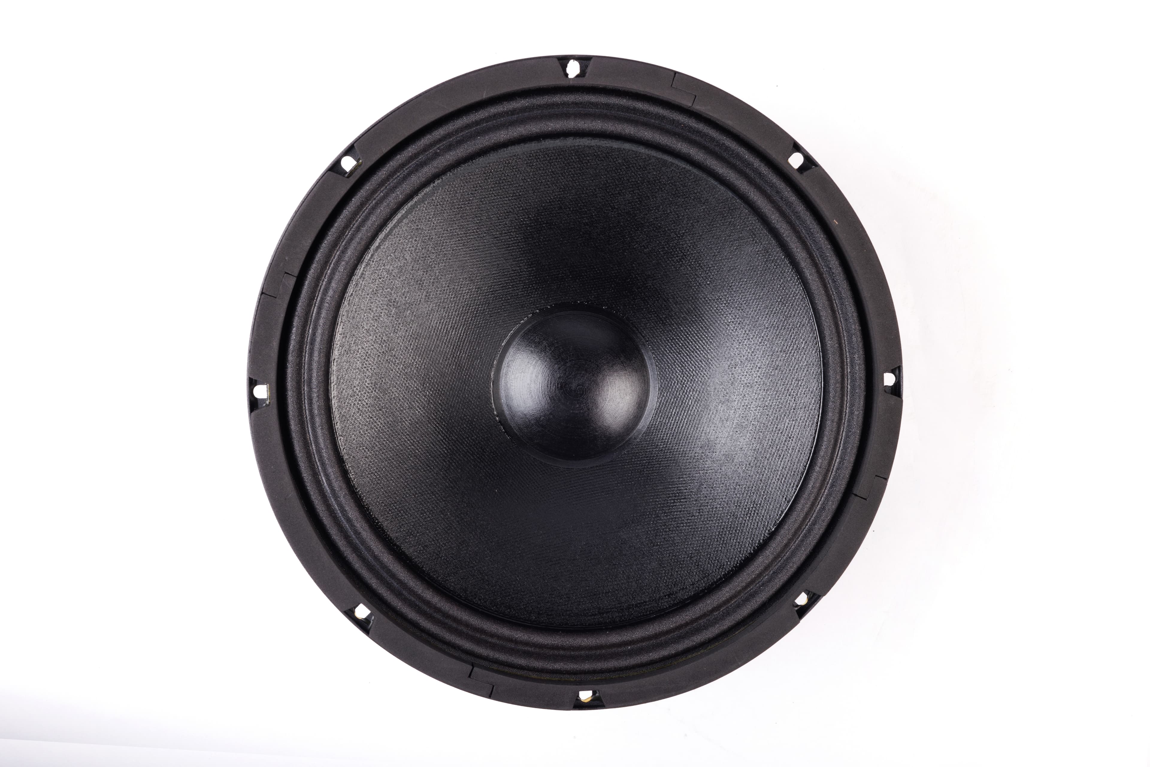 Lavoce WSF102.00 10 inch 8 ohm loudspeaker driver view 3