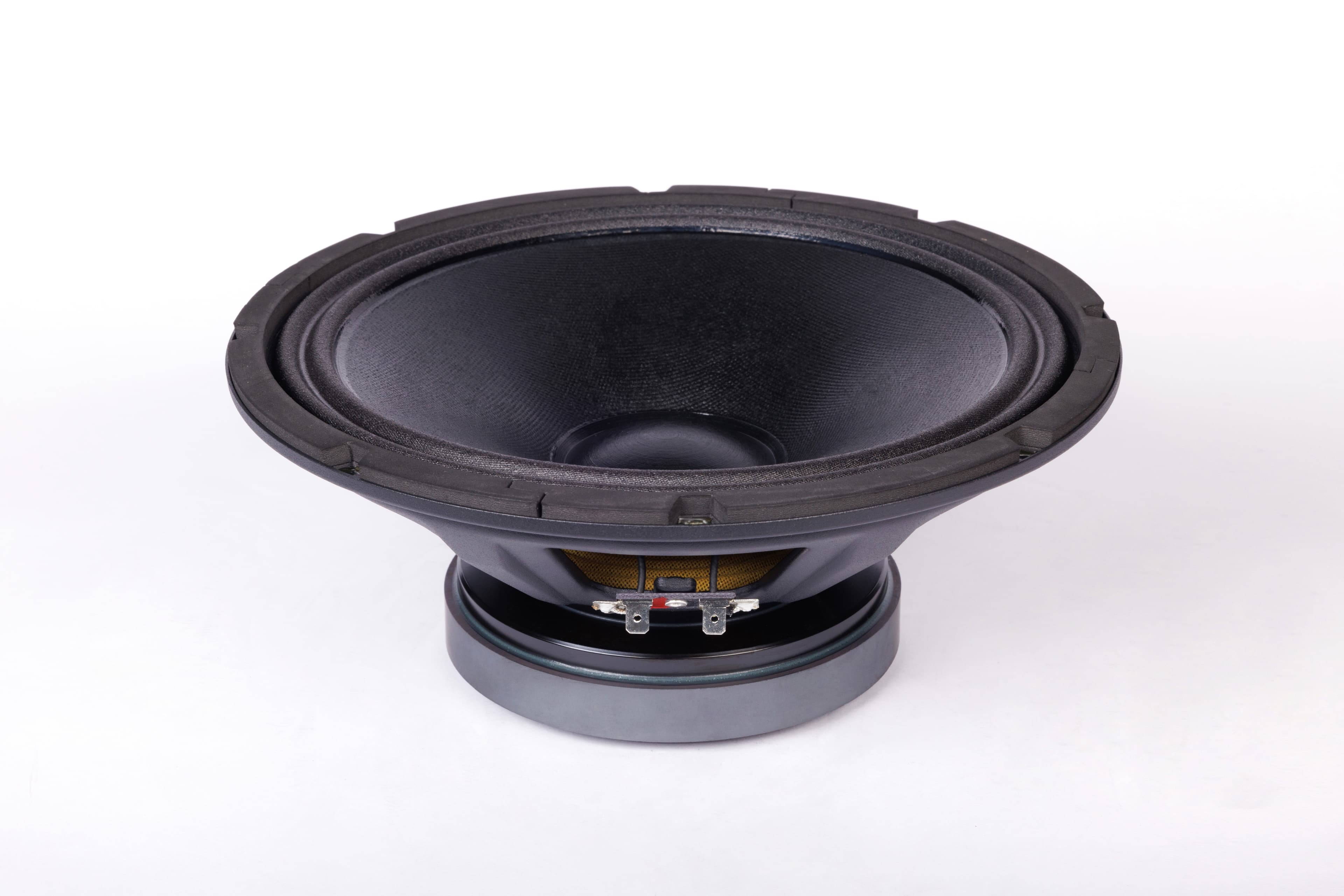 Lavoce WSF102.00 10 inch 8 ohm loudspeaker driver view 2