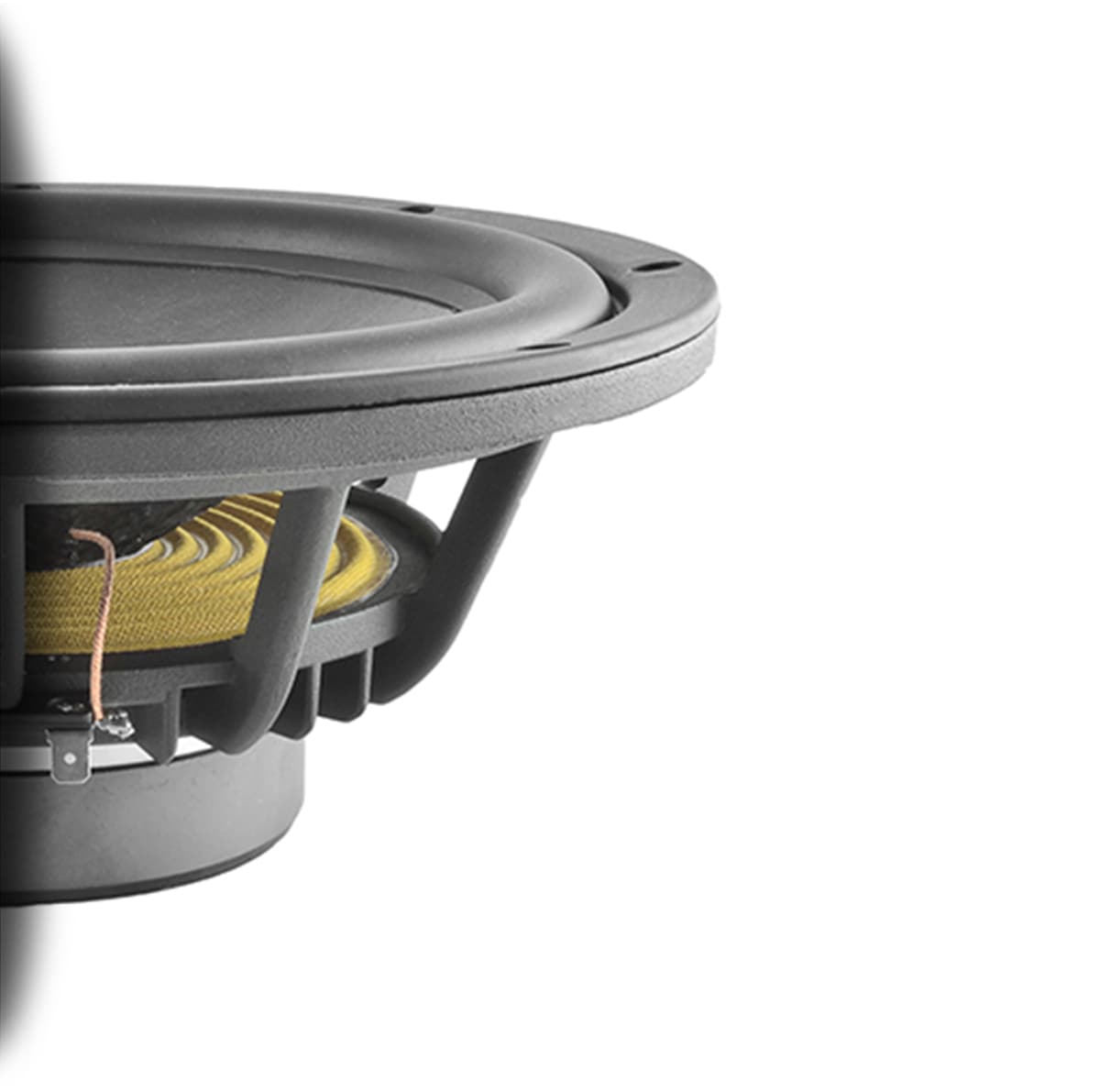Sica 10 SR 2 CP 10 inch 8 ohm loudspeaker driver view 1