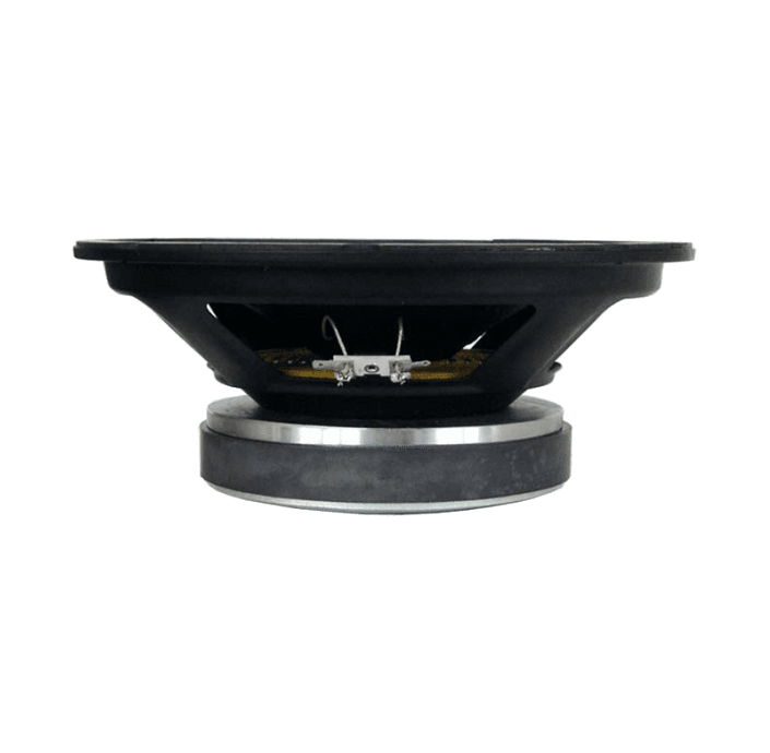 Tang Band WT-998D 0 inch 4 ohm loudspeaker driver view 2