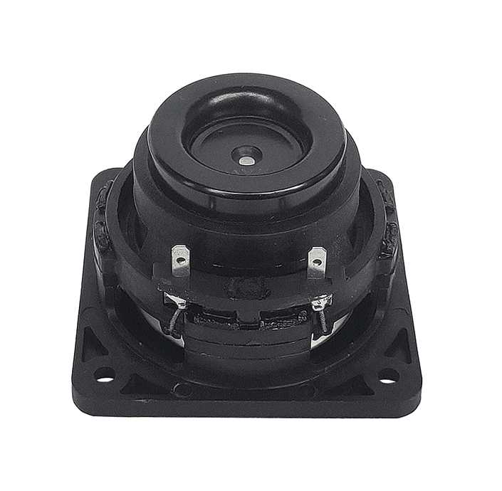 Tang Band W2-2243S 2 inch 4 ohm loudspeaker driver view 2