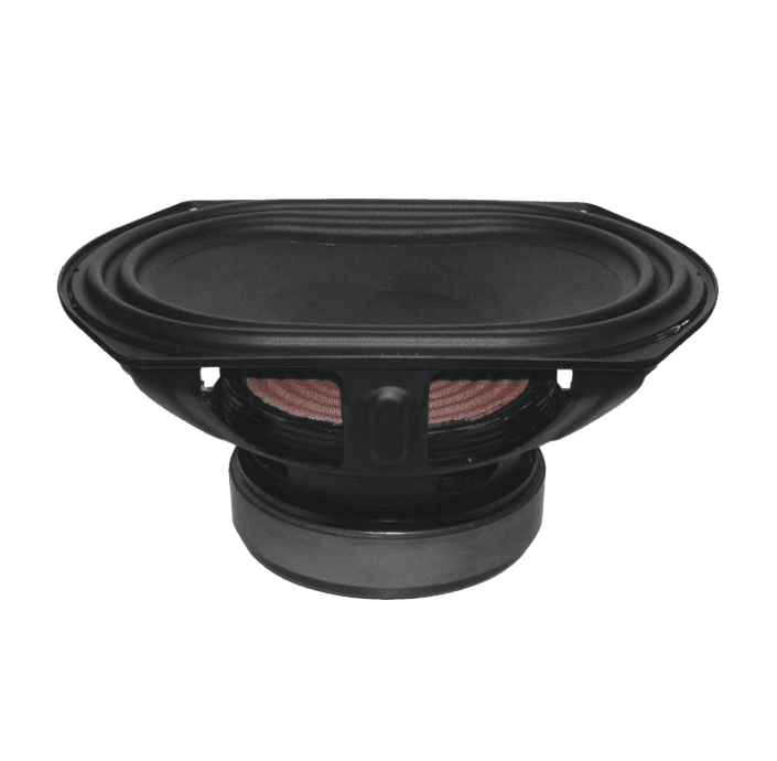 Tang Band W8Q-1071F 8 inch 4 ohm loudspeaker driver view 1