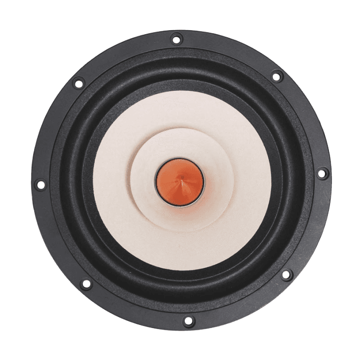 Tang Band W8-1808 8 inch 8 ohm loudspeaker driver similar driver