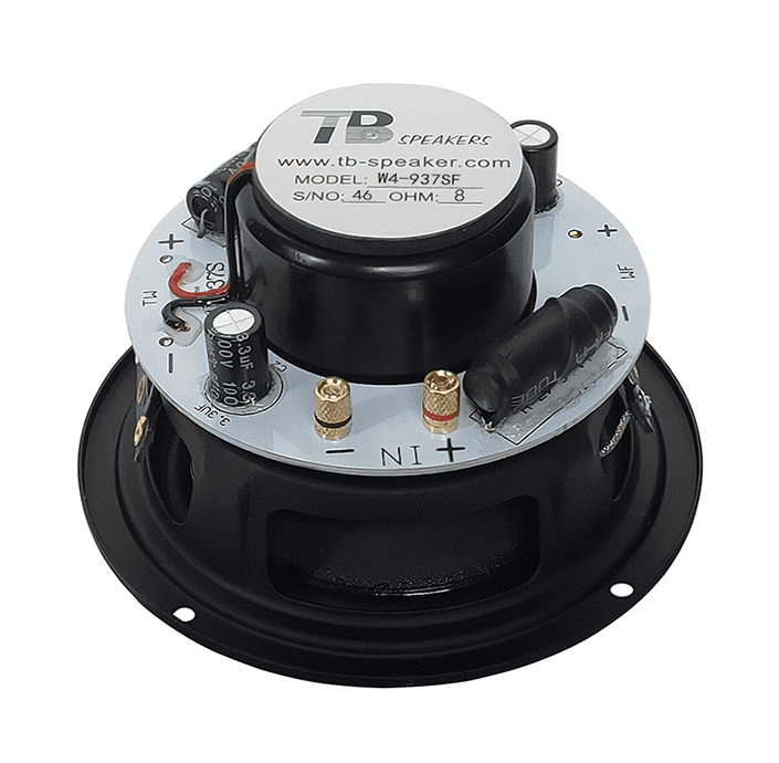 Tang Band W4-937SF 4 inch 8 ohm loudspeaker driver view 2
