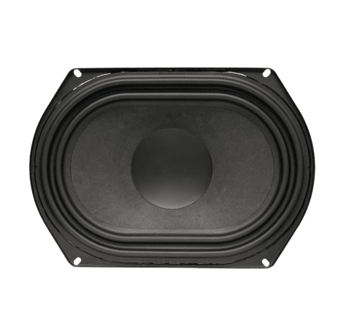 Tang Band W8Q-1071F 8 inch 4 ohm loudspeaker driver view 2