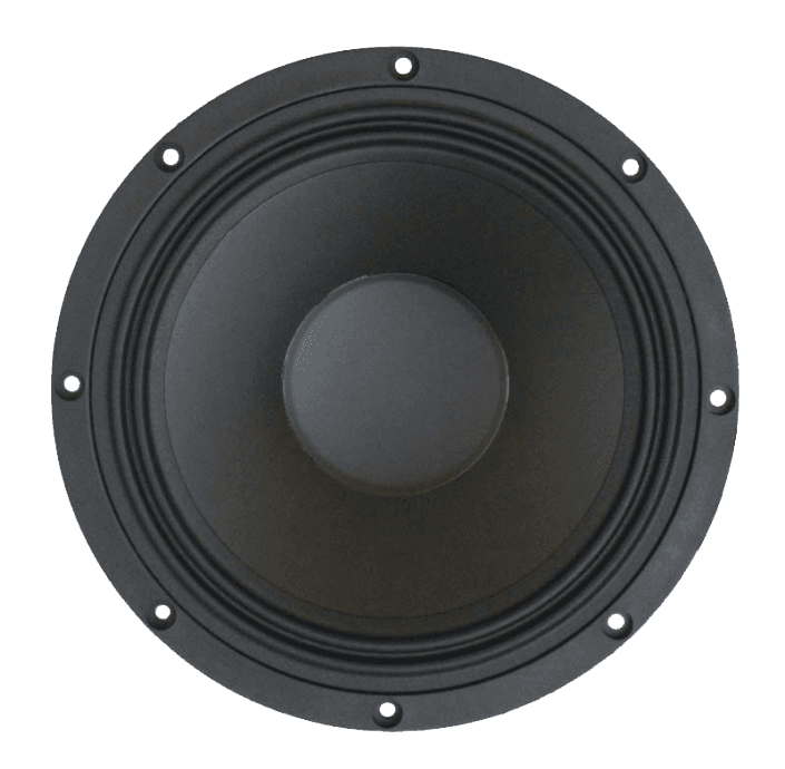 Tang Band W8-750C 8 inch 8 ohm loudspeaker driver view 2