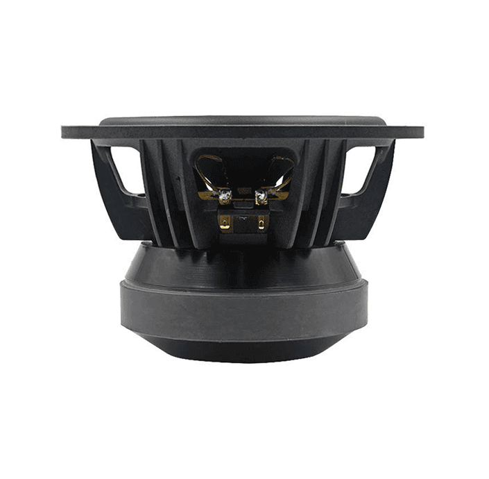 Tang Band W8-1722B 8 inch 4 ohm loudspeaker driver view 3