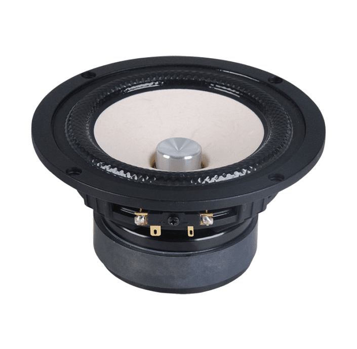 Tang Band W5-1880 5 inch 6.3 ohm loudspeaker driver view 8