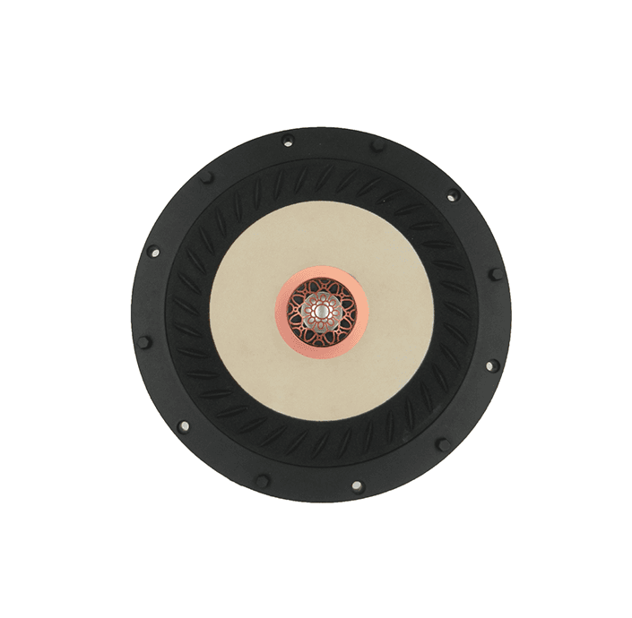 Tang Band W8-2314 8 inch 4 ohm loudspeaker driver similar driver